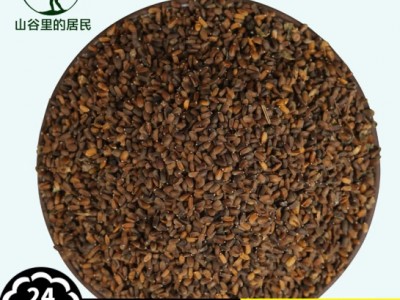 山谷里的居民藿香种子食用新藿香叶